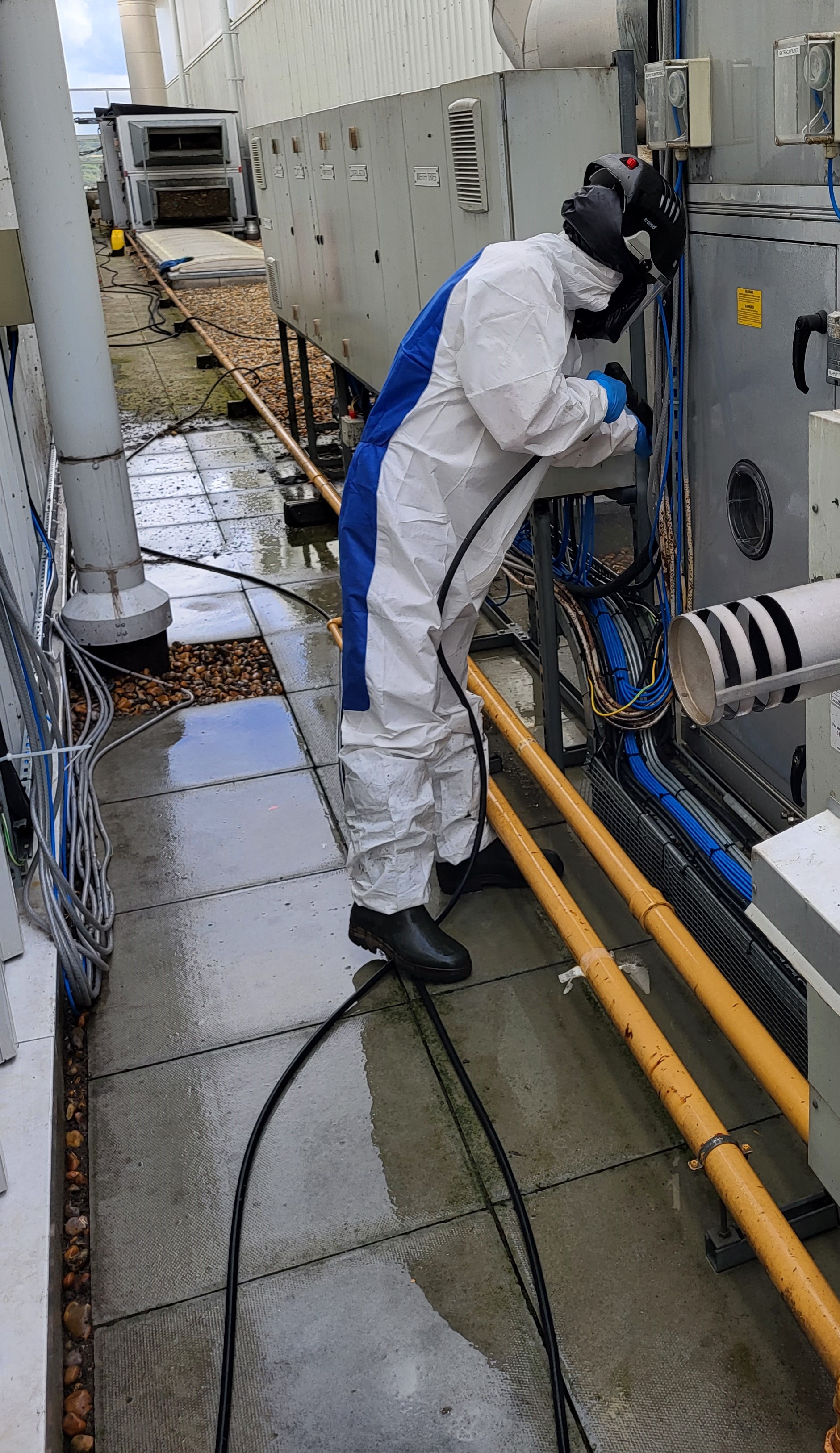 Guano Cleaning and Bird Removal